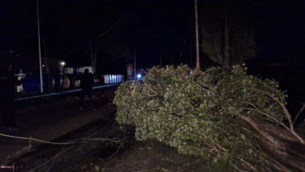 Lənkəranda güclü külək fəsadlar törədib – FOTOLAR