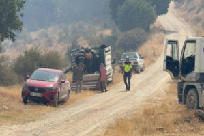 Türkiyənin daha bir bölgəsində yanğın başlayıb