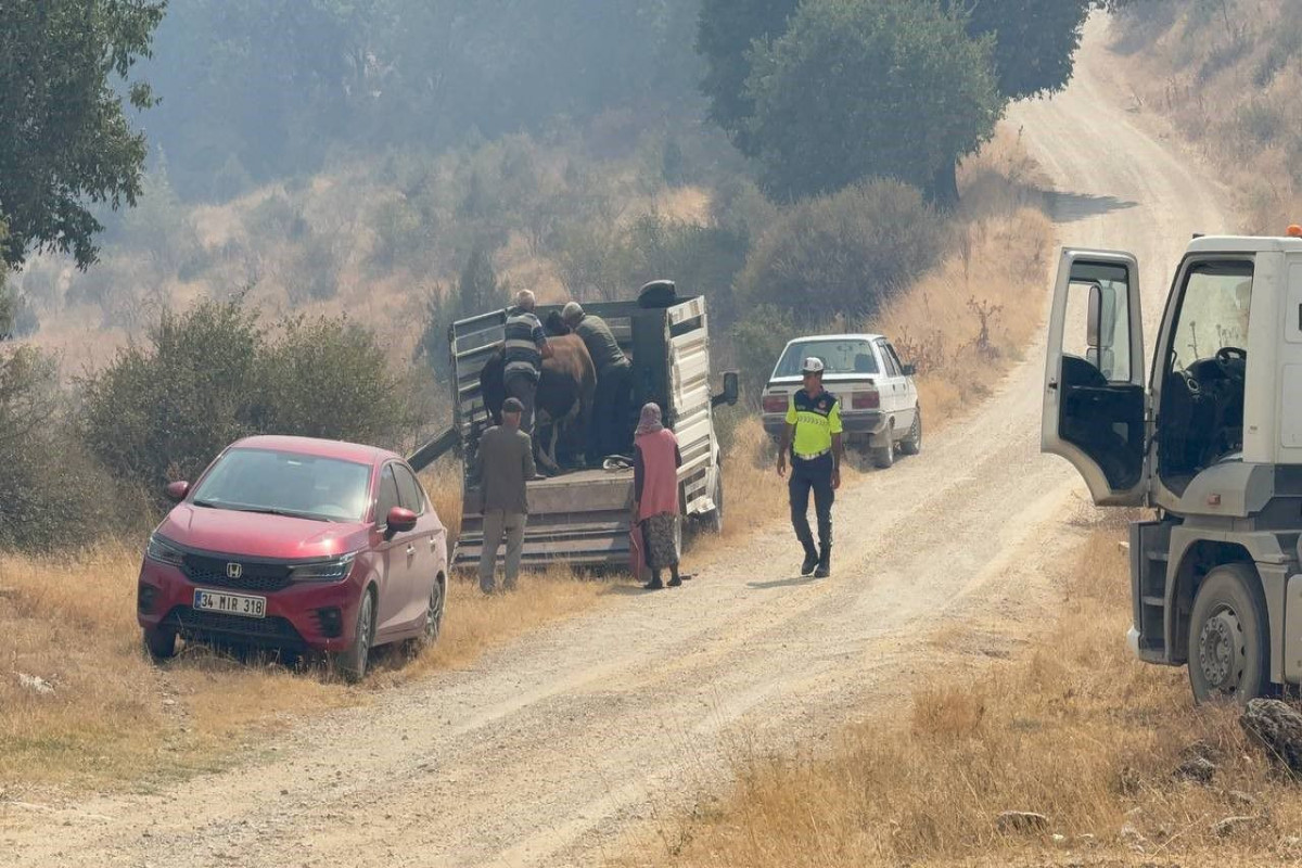 Türkiyənin daha bir bölgəsində yanğın başlayıb