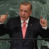 Erdogan 142