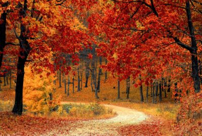 Azərbaycana payız gəldi