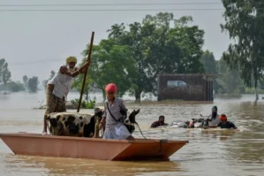 Hindistanda daşqınlar: 43 nəfər öldü