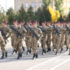 daxili qosunlar
