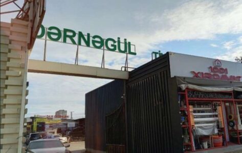 dernegul 1