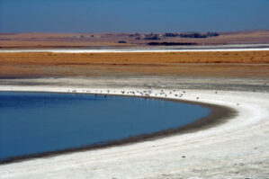 Duz gölünə çirkab su axıdanlar cərimələnəcək - Rəsmi