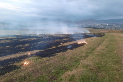 Törətdiyi əməllə 1 hektar əkin sahəsi yandı - FOTO
