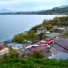 goyce