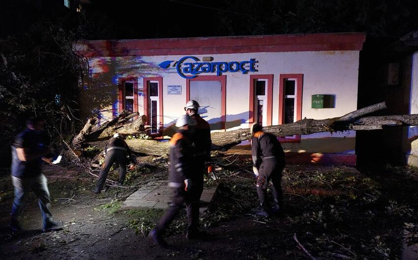 Lənkəranda güclü külək fəsadlar törədib – FOTOLAR