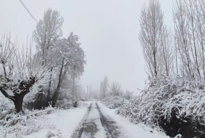 Zaqatalaya qar yağıb