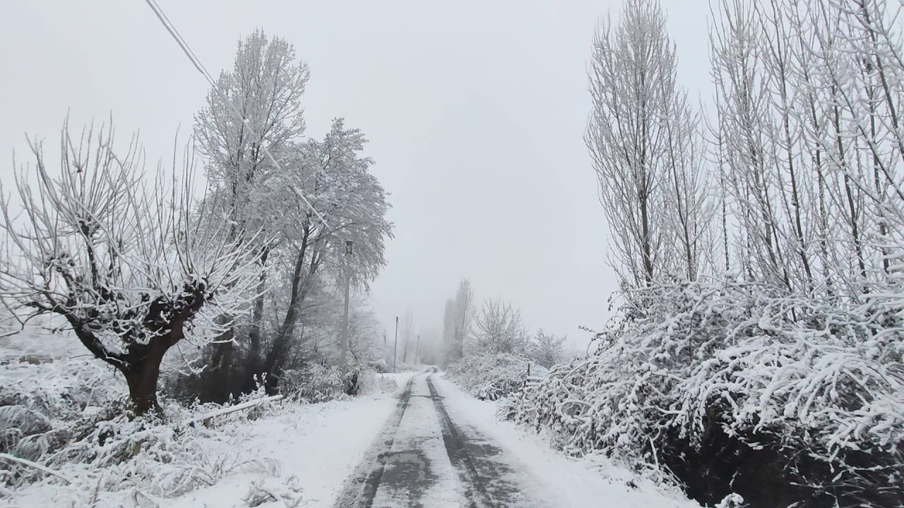 Zaqatalaya qar yağıb