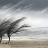 music cold weather whispering winds scaled 1
