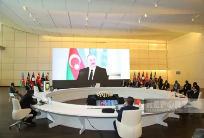 Bakıda beynəlxalq konfrans keçirildi - FOTOLAR