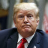 trump tramp