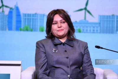 Bu mənfi təsirləri gələcəkdə görəcəyik - Umayra Tağıyeva