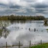 waal river bed winter overcast day scaled 1