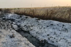 Ağsuda qəsdən yanğın törədən şəxs müəyyən edildi - FOTOLAR