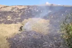 Gədəbəydə dağlıq ərazidə yanğın oldu - VİDEO