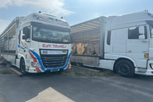 Azərbaycanın humanitar yardımı Ukraynaya çatdı - FOTOLAR