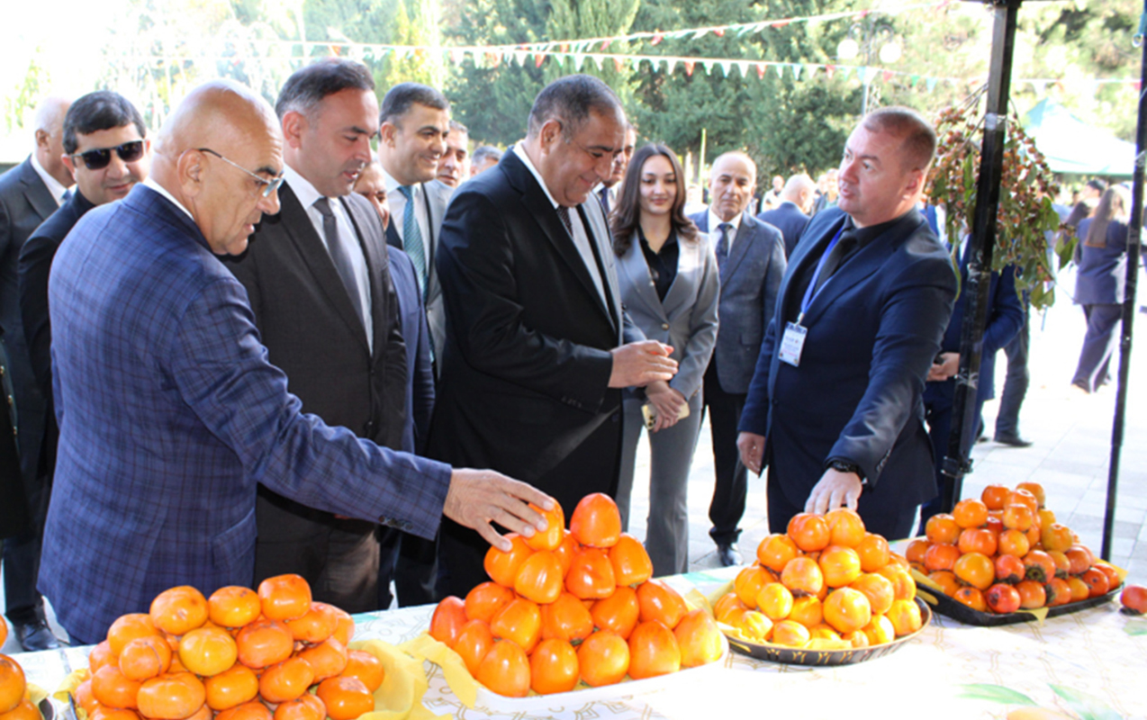 Dünən festivalda, bu gün isə… – FOTOLAR