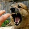 SQzdO9DEbexr6ZwRjnCE33sln2Eav9JJlC5GLEQs 1200