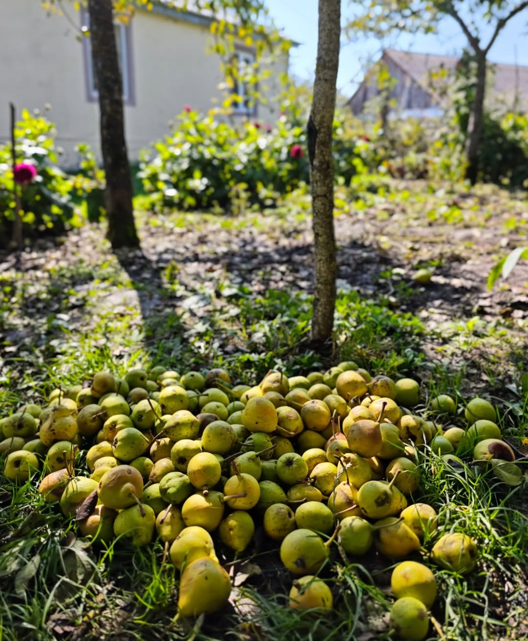Arzu Əliyeva bu ailənin qonağı oldu – FOTOLAR