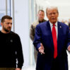 Trump Zelenskiy