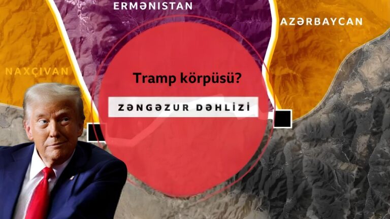 Trampın sülh planlarının pərdəarxası – Britaniyalı politoloq gözdən qaçan məqamlara diqqət çəkdi