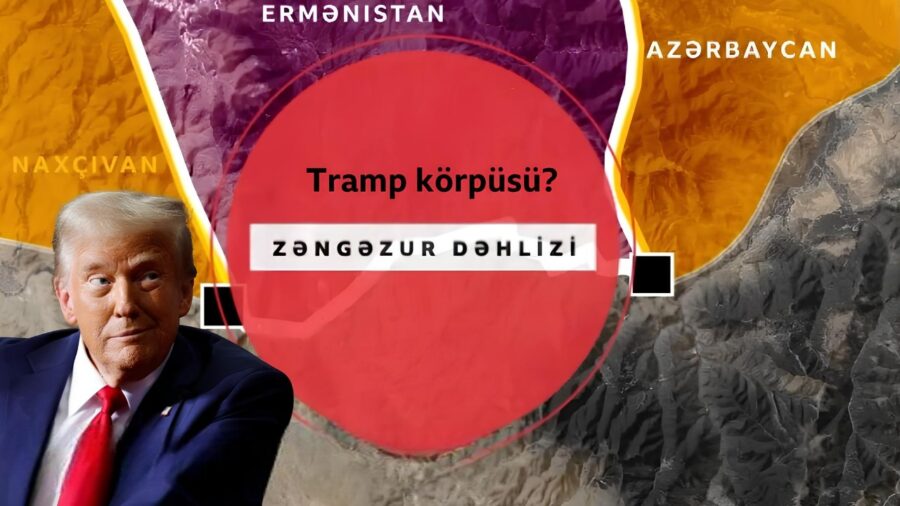 Trampın sülh planlarının pərdəarxası – Britaniyalı politoloq gözdən qaçan məqamlara diqqət çəkdi