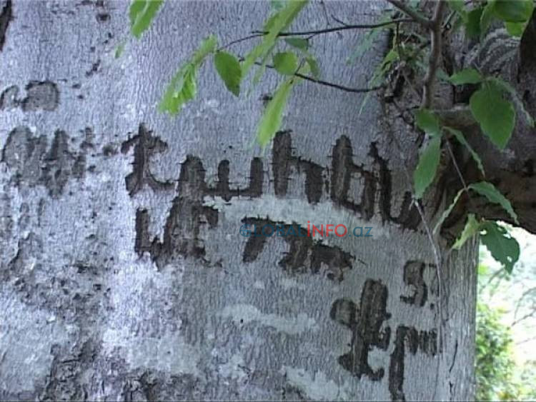 image 750x 68e4a1aa69f23 1