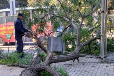 Mingəçevirdə güclü külək fəsadlar yaratdı