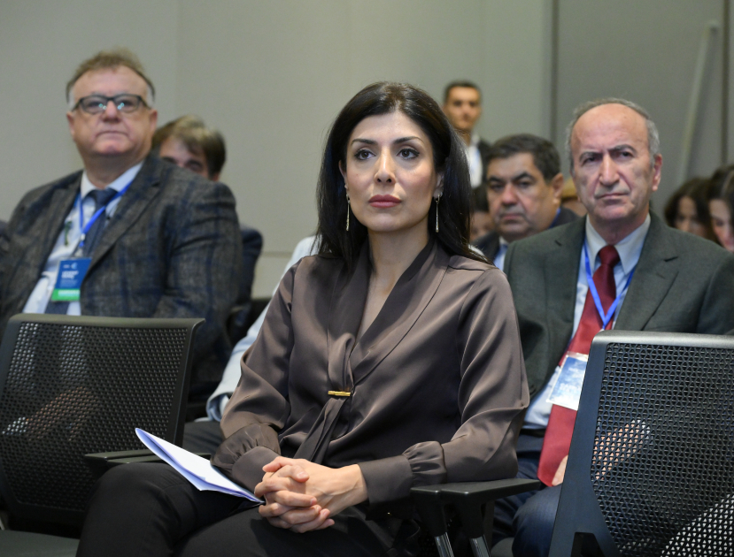 Leyla Əliyevanın təşəbbüsü ilə beynəlxalq konfrans təşkil edildi - FOTOLAR 7 Leyla Əliyevanın təşəbbüsü ilə beynəlxalq konfrans təşkil edildi - FOTOLAR