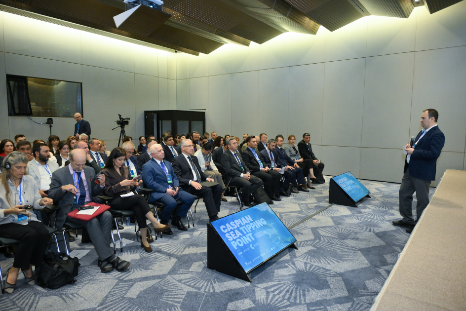 Leyla Əliyevanın təşəbbüsü ilə beynəlxalq konfrans təşkil edildi - FOTOLAR 8 Leyla Əliyevanın təşəbbüsü ilə beynəlxalq konfrans təşkil edildi - FOTOLAR