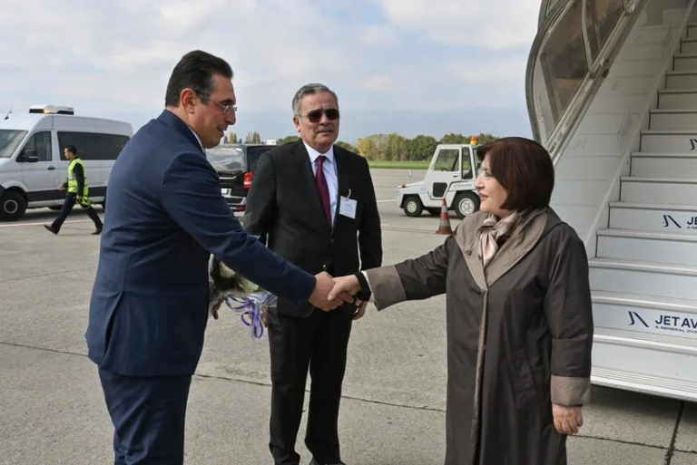 Sahibə Qafarova İsveçrəyə işgüzar səfər edib