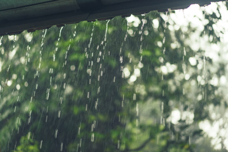 Yağış yağır, külək əsir – Faktiki hava
