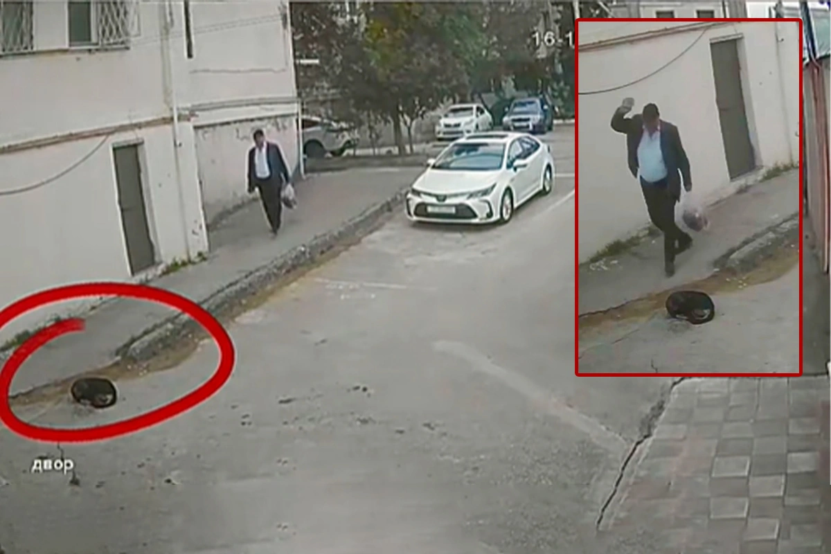 İti daşla vuran şəxslə bağlı tədbir görüldü - VİDEO 1 İti daşla vuran şəxslə bağlı tədbir görüldü - VİDEO