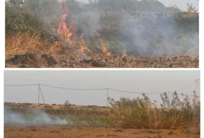 Zərdabda yanğın törədən şəxs məsuliyyətə cəlb olundu