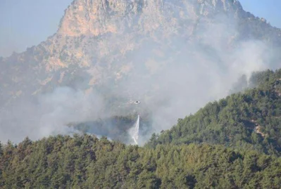 Azərbaycan-Ermənistan sərhədində yanğın söndürüldü