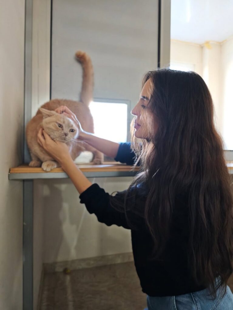Leyla Əliyeva IDEA Heyvanlara Qayğı Mərkəzində – FOTOLAR