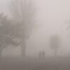 IMG 7751