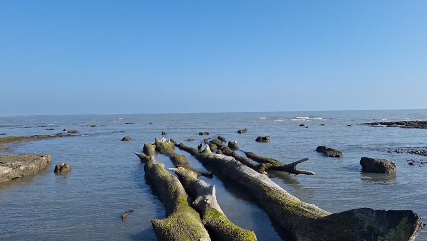 Xəzərin daha bir sirri bilindi: dəniz çəkilir, üzə çıxanlar heyrətləndirir – VİDEO