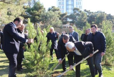 Xətaidə ağacəkmə aksiyası keçirildi - FOTOLAR