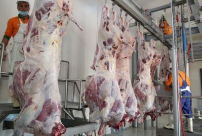 “Monqol əti”ni belə ayırd edin – Bu detallara diqqət!