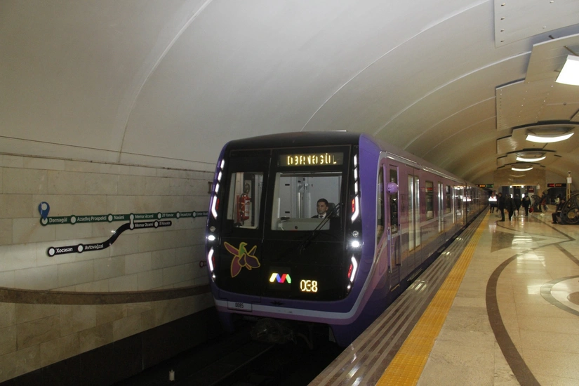 f36c1511 5978 3ff6 9d11 d462e137f22e 825