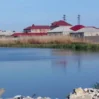 gpl