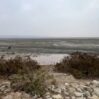 haciqabul golu