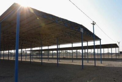 Mal bazarlarının fəaliyyəti bərpa edilir? - VİDEO