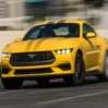 mustang