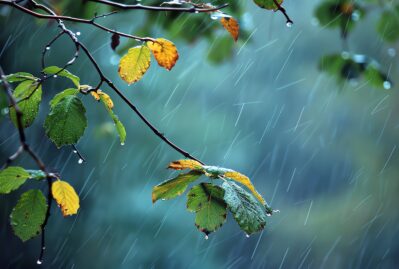 Leysan olacaq, şimşək çaxacaq – Xəbərdarlıq