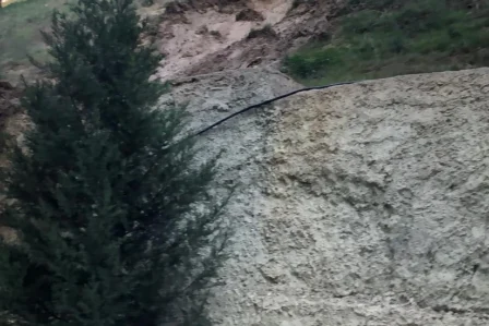 s 1 1