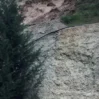 s 1 1